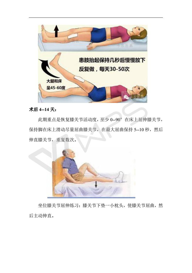 全膝关节02.jpg
